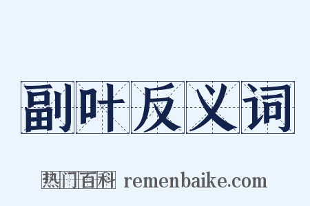 副叶反义词是什么意思的图片